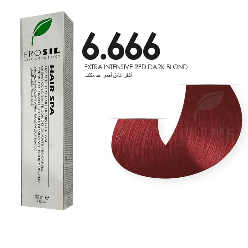 צבע שיער פרוסל בלונד כהה NO 6.666